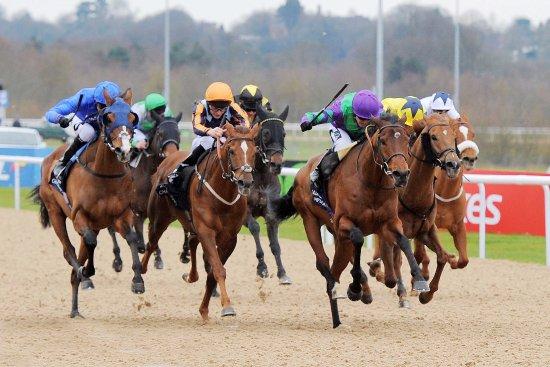 Wolverhampton Racecourse
